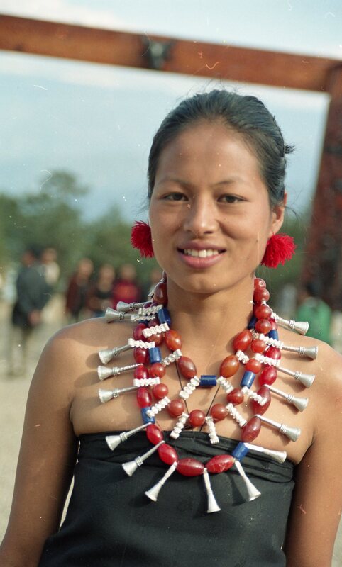 Hornbill festival, 2003