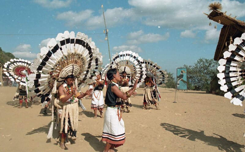 Hornbill festival, 2003