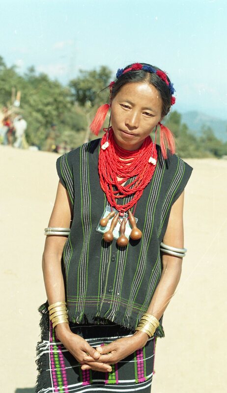 Hornbill festival, 2003