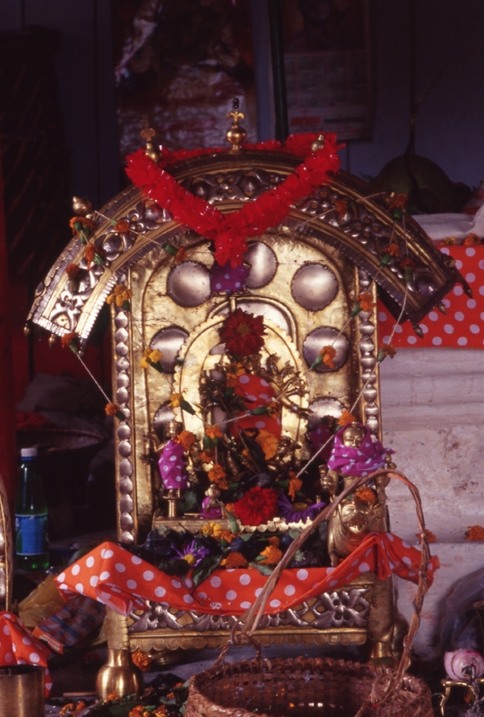 Durga Puja at Nartiang