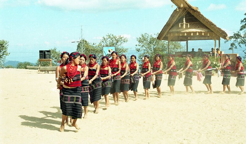 Hornbill festival, 2003