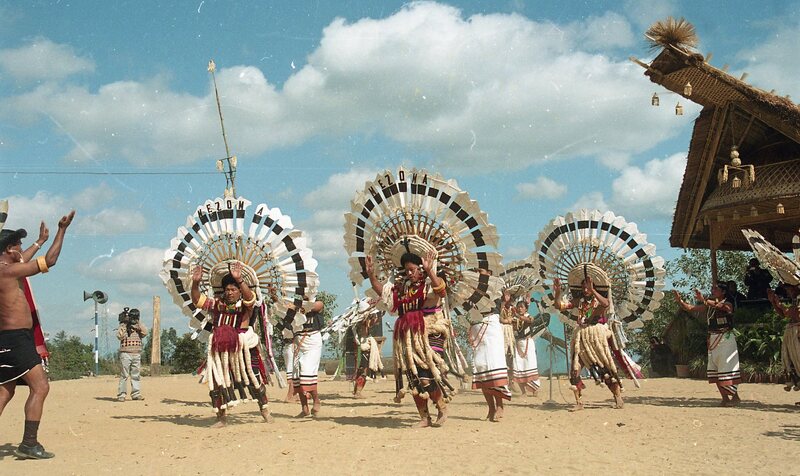 Hornbill festival, 2003