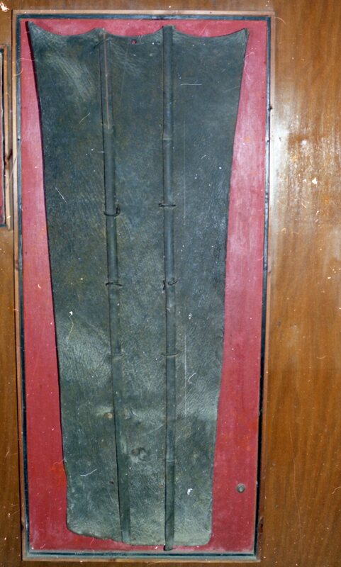 Shield