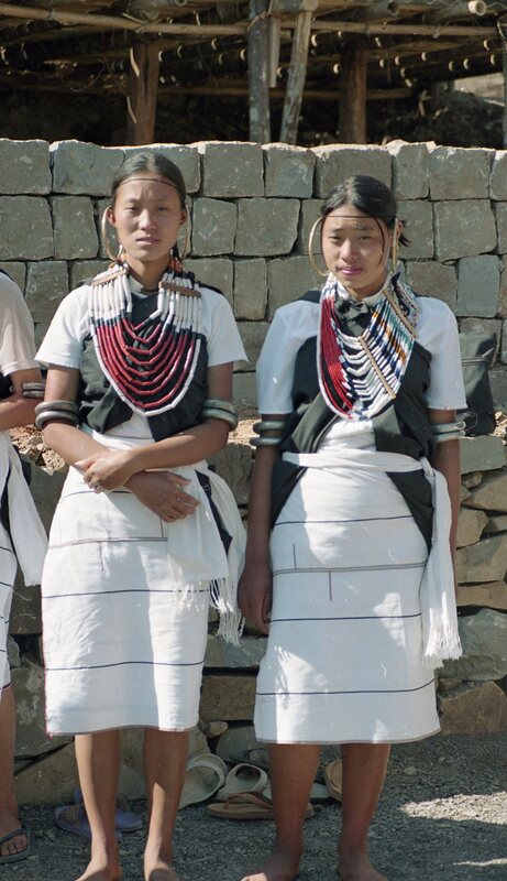Hornbill festival, 2003