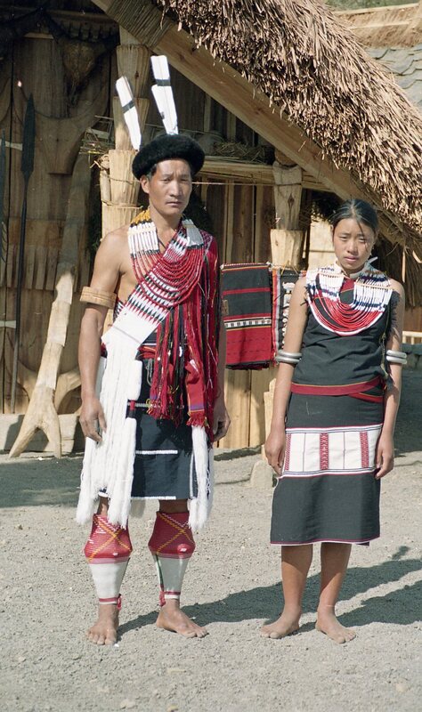 Hornbill festival, 2003