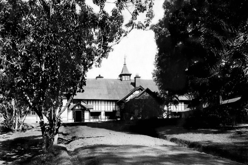 Pine Wood Hotel
