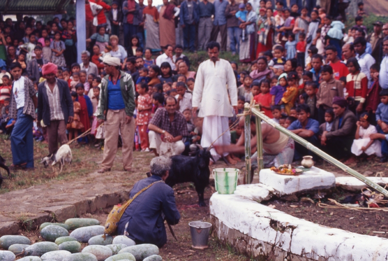 Durga Puja at Nartiang