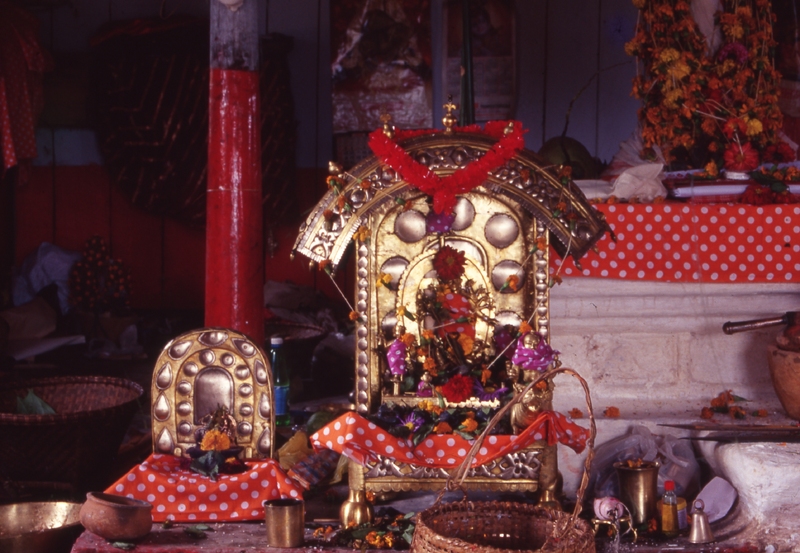 Durga Puja at Nartiang