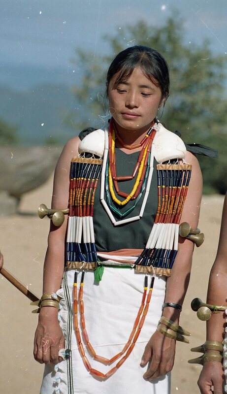 Hornbill festival, 2003