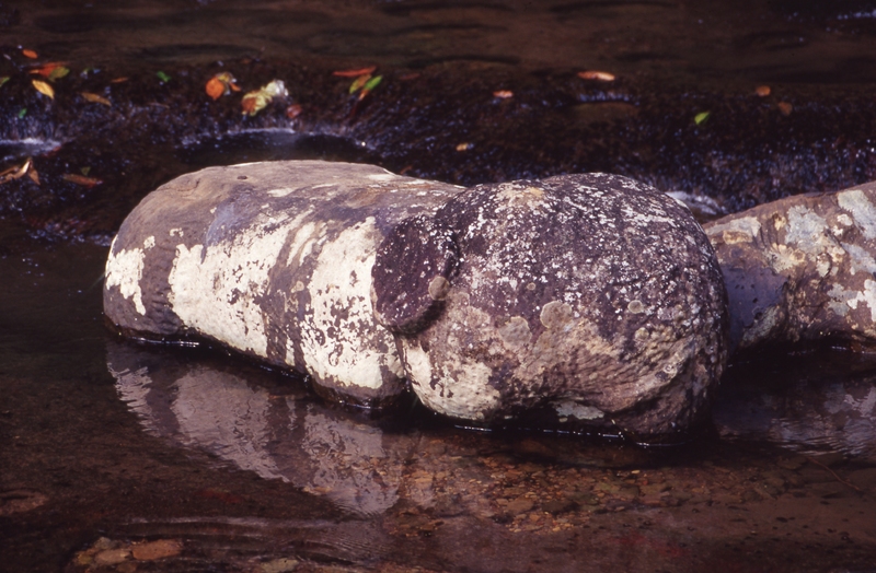Elephant shaped stone