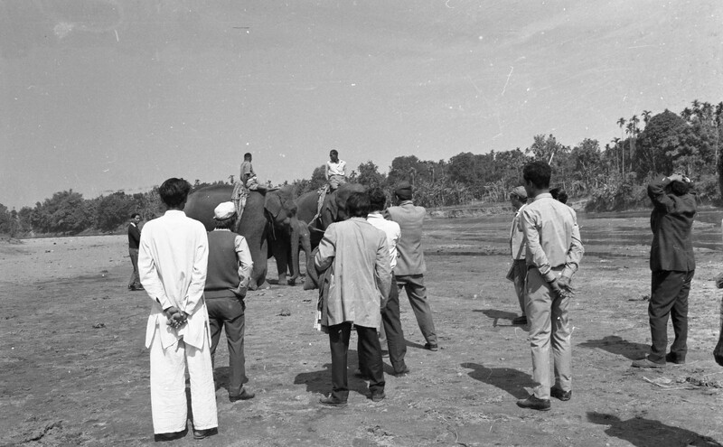 Training of Wild Elephants