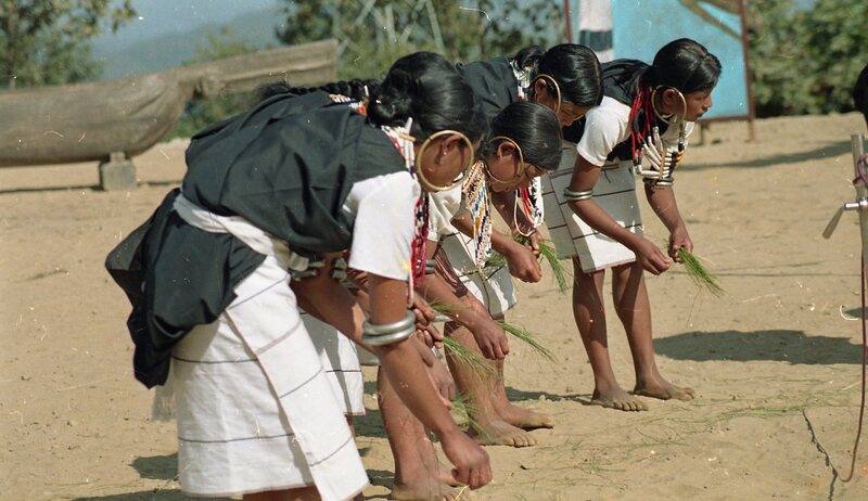 Hornbill festival, 2003