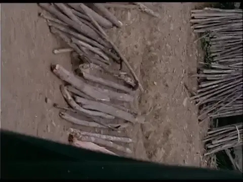 78 - India, Zemi Nagas, Assam, c. 1971 . Colour, silent