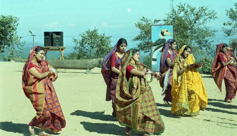 Hornbill festival, 2003