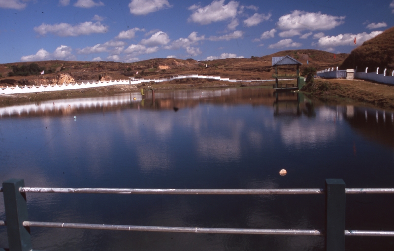 Pitcher plant lake