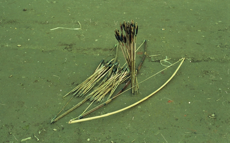Teer archery lottery