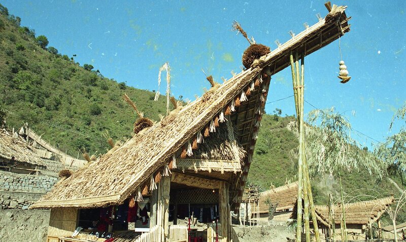 Hornbill festival, 2003