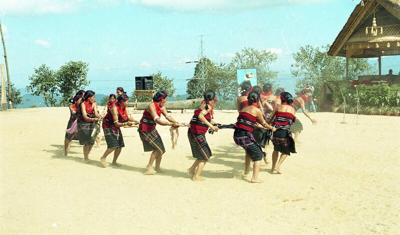 Hornbill festival, 2003