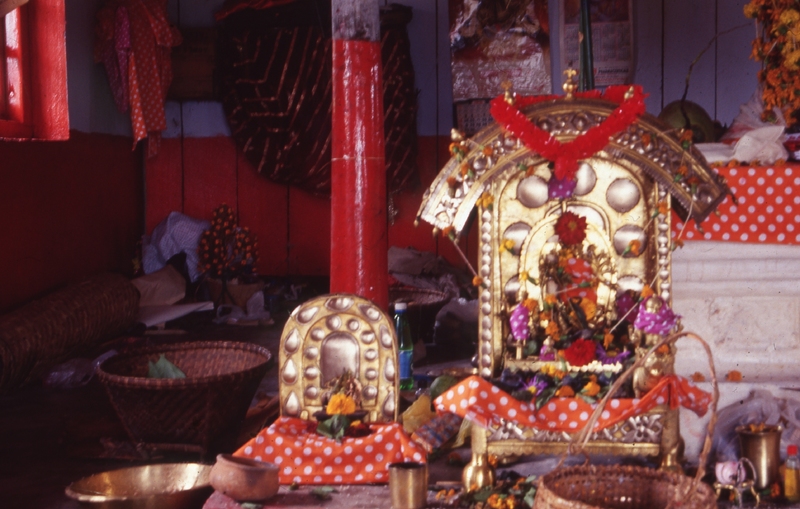 Durga Puja at Nartiang