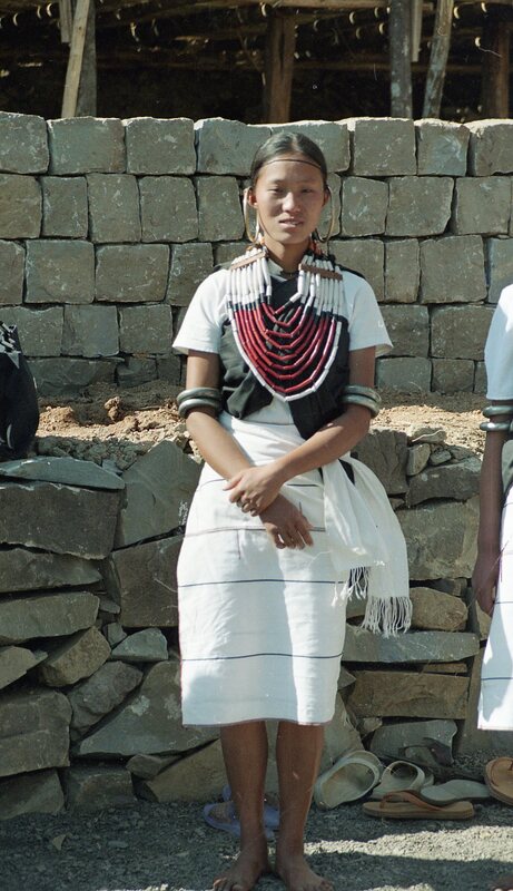 Hornbill festival, 2003