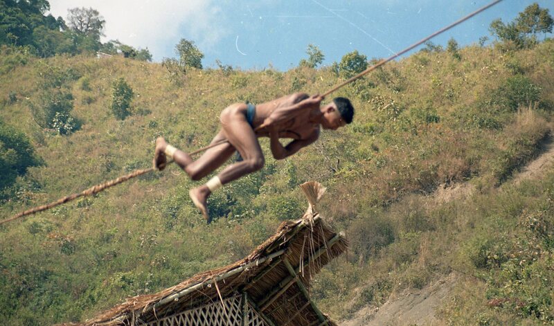 Hornbill festival, 2003