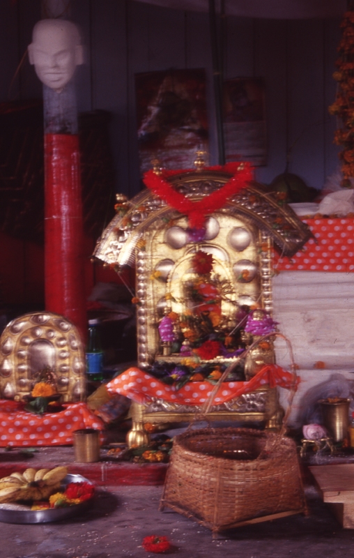 Durga Puja at Nartiang