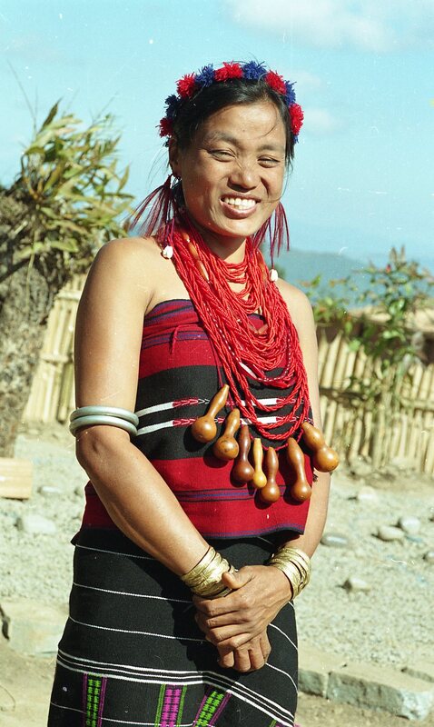 Hornbill festival, 2003