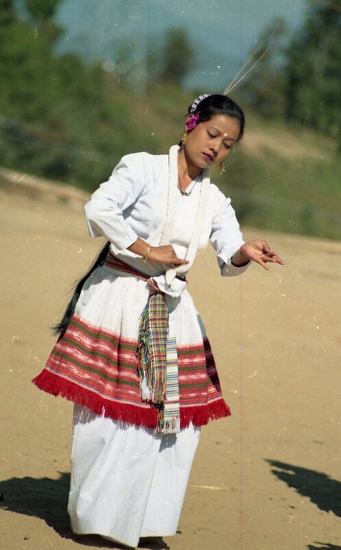 Hornbill festival, 2003