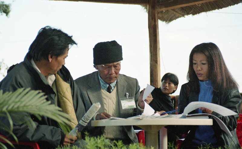 Hornbill festival, 2003