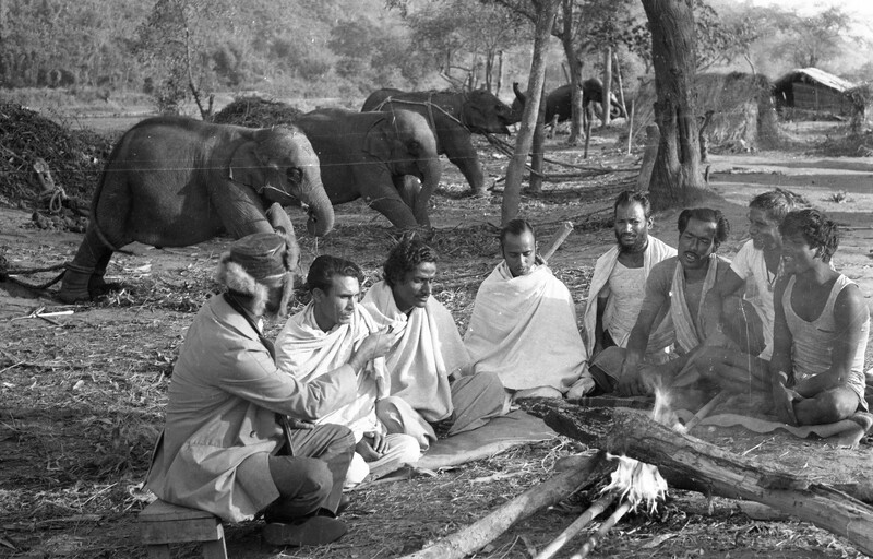 Training of Wild Elephants