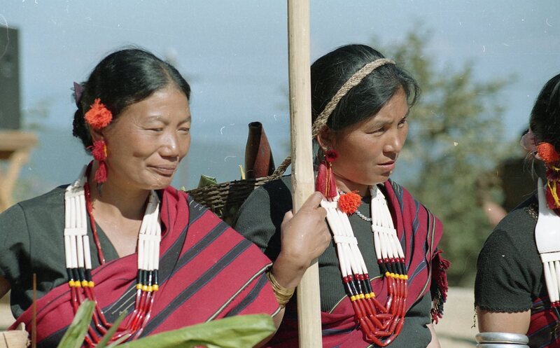 Hornbill festival, 2003