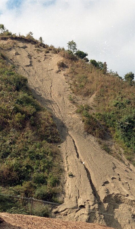 Hornbill festival, 2003