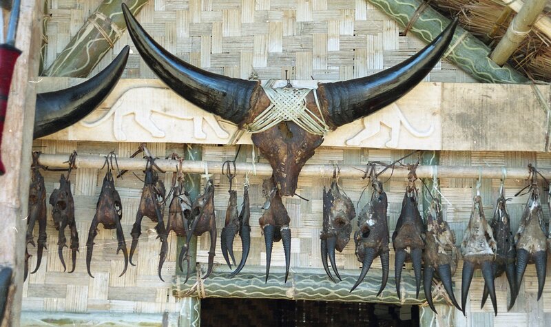 Hornbill festival, 2003