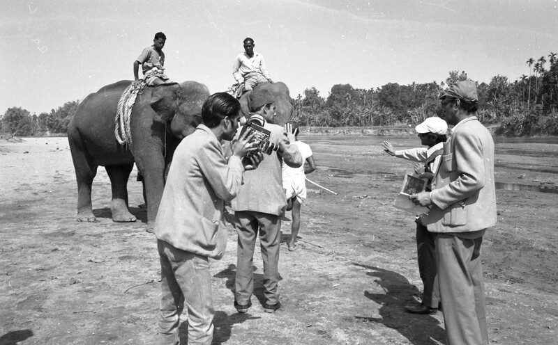 Training of Wild Elephants
