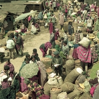 http://192.168.29.90/photos/Open/Ahmed%20Hossain%20Collections/D010/P001/W001/D010P001W001S004.jpg