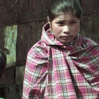 http://192.168.29.90/photos/Open/Ahmed%20Hossain%20Collections/D010/P001/W001/D010P001W001S039.jpg