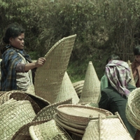 http://192.168.29.90/photos/Open/Ahmed%20Hossain%20Collections/D010/P001/W001/D010P001W001S002.jpg