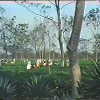http://192.168.29.90/photos/All_Website_Videos/109.%20Inauguration%20of%20State%20Meghalaya_NEIAVA_C001V070.mp4