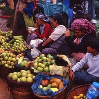 http://192.168.29.90/photos/Open/Ahmed%20Hossain%20Collections/D004/P001/W005/D004P001W005S008.jpg