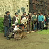 http://192.168.29.90/photos/Open/Ahmed%20Hossain%20Collections/D009/P001/W001/D009P001W001S012.jpg